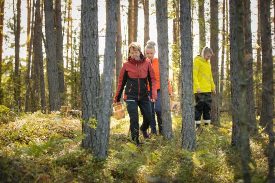 sustainable tourism finland