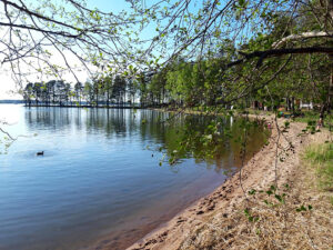 Enonsaari Lahti uimaranta