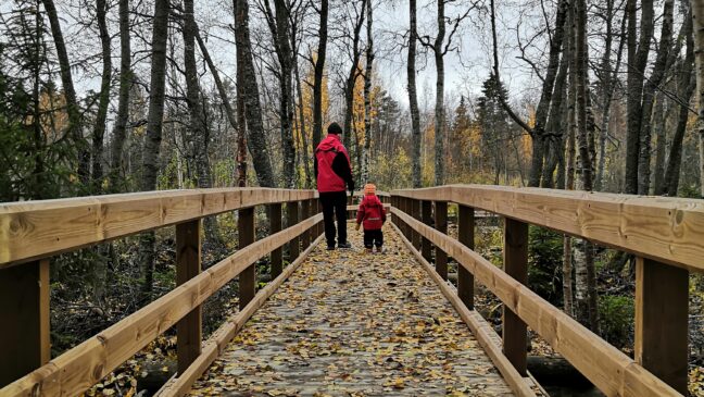 Kuninkaanpolku Ekonpolku esteetön luontopolku syksyn lehdet lapsi luontopolulla nature trail autumn