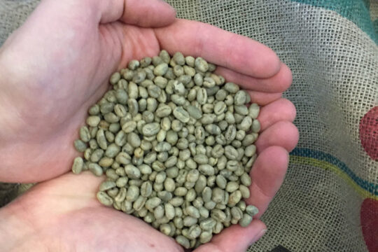Kahiwa Coffee Roasters