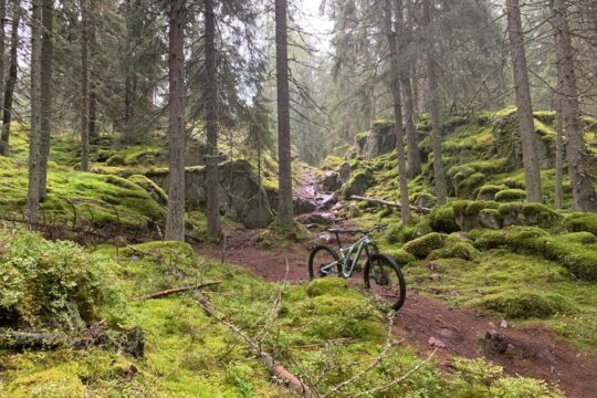 MTB Tiirismaa