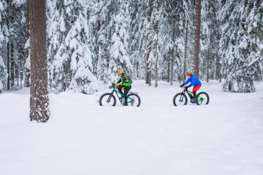 Salpausselkä Trails