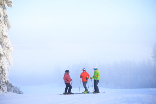 Messilä Talvi Winter