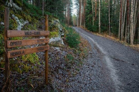 Valo-Ilves Vierumäki