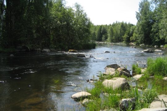 Tainionvirta river