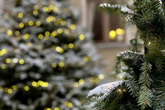 Valaistu luminen joulukuusi kahvila Oskarin Pihan oven pielessä