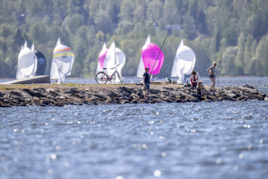 Purjeveneet Lahden Vesijärvellä