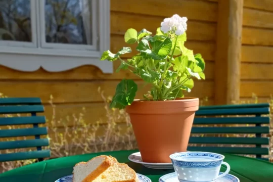 Kahvikuppi, pullaa ja pelargonia puutarhapöydällä