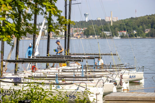 Purjeveneet Myllysaaren satamassa. Taustalla Lahden satama