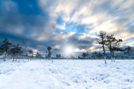 Talvinen Linnaistensuo