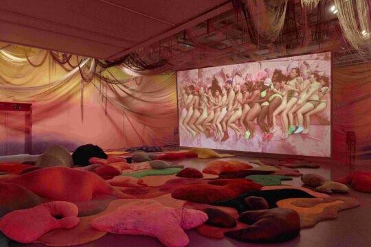 Lahden visuaalisten taiteiden museo Malva, Olavi Lanun Muodonmuutoksia-näyttelyn teos When the body says yes Melanie Bonajolta