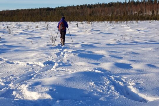 Best Lake Nature Adventures lumikenkäretki talvisella suolla