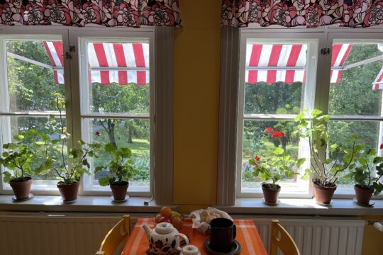Näkymä puistoon Heinolan kaupunginmuseon ikkunoista. Ikkunan takana puna-valkoraidalliset markiisit. Pelargoniat ikkunalla