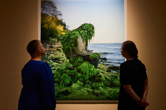 Lahden visuaalisten taiteiden museo Malva, Symbioosi-näyttelyn Eyes as Big as Platesin teos PerSille