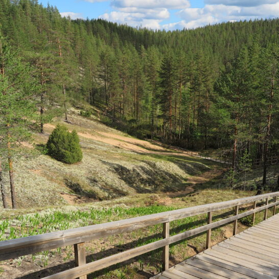 Rokua Geopark