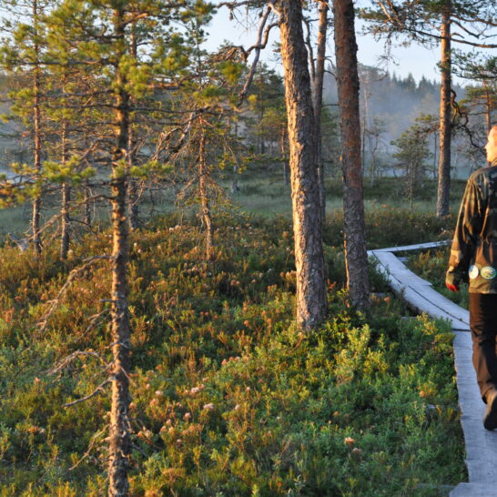 Lauhanvuori-Hämeenkangas Geopark